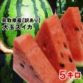 【予約販売】送料無料！河本農園 スイカ（1玉5kg程度)Ｍ［鳥取県産西瓜］［常温]　【6月中旬以降収穫があり次第（日にち指定不可）】