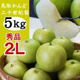 【予約】(かんど地区産限定)二十世紀梨【秀品：進物用】 5kgセット（2Lサイズ：16玉入）【送料無料】【鳥取県産】（20世紀梨）【9月上旬以降収穫あり次第出荷】