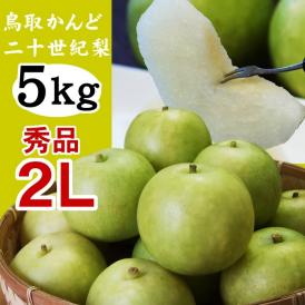 【予約】(かんど地区産限定)二十世紀梨【秀品：進物用】 5kgセット（2Lサイズ：16玉入）【送料無料】【鳥取県産】（20世紀梨）【9月上旬以降収穫あり次第出荷】