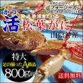 【最短発送日表示通りの発送は不可】[発送時に活きている]活松葉がに[タグ付：贈答用]特大　1枚(800g前後)【送料無料】【11月中旬以降予約順出荷予定（日にち指定不可）】