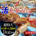 【最短発送日表示通りの発送は不可】[発送時に活きている]活松葉がに[タグ付：贈答用]超特大　1枚(1kg前後)【送料無料】【11月中旬以降予約順出荷予定（日にち指定不可）】