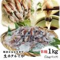 【送料無料】生ホタルイカ1ｋｇ冷凍(2024年春獲れ新物)【Ｂ級】山陰沖産[冷凍]【解凍当日は生食可】
