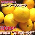 【送料無料】【美生ゴールド】【訳あり】たっぷり7kgセット（大中小混合12-24玉入）スレ傷あり〔自家用〕愛媛県産［常温］