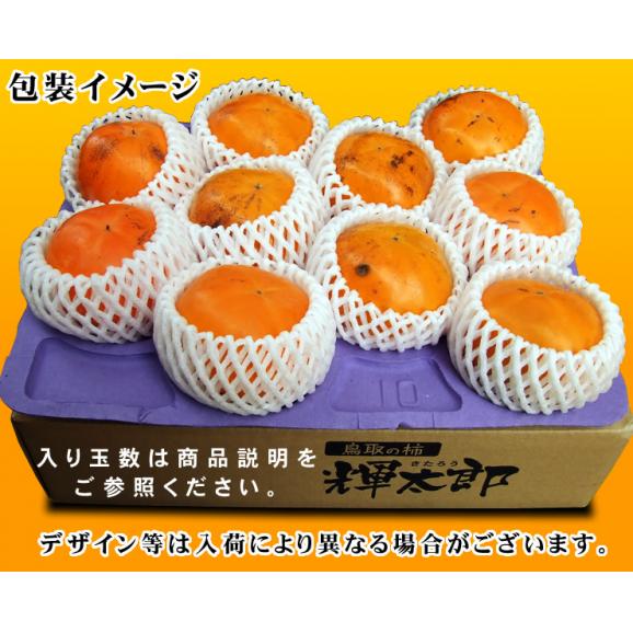 生産量少ない数量限定！輝太郎柿(きたろう)【自家用】３kgセット(7-12玉入り)〔送料無料〕柿・かき【10月中旬以降収穫があり次第（日にち指定不可）】02