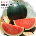【予約】【進物用】河本農園の大玉黒皮スイカ（がぶりこ)1玉(7kg以上)（2Ｌ以上）【送料無料】【常温】種が少なく甘い【7月下旬以降収穫があり次第出荷】すいか　鳥取スイカ