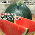 【予約】【棚落ち訳あり　自家用】河本農園の大玉黒皮スイカ（がぶりこ)1玉(6-8kg程度)（Ｌ-3Ｌ）【送料無料】【常温】【7月下旬以降収穫があり次第（日にち指定不可）】