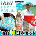 【新物予約】送料無料！漬け初心者【3点(らっきょう：酢：漬け瓶)】セット 本場福部(ふくべ)産『山根さんの砂丘らっきょう』1kg[常温]【6月上旬以降予約受付け順出荷（日にち指定不可）】