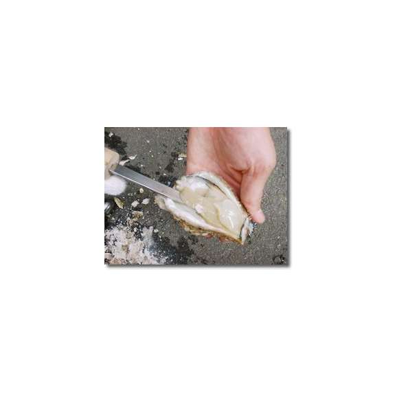 天然岩牡蠣のカキ開けセット(牡蠣開けナイフ・軍手(片手)のセット)03