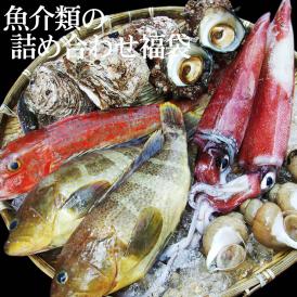  魚介類の詰め合わせ3980円セット福袋(魚介類2～4品程度入) 【送料無料】