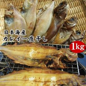 【日本海産カレイ一夜干し1ｋｇセット】【冷凍】送料無料