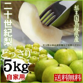 【予約】【送料無料】二十世紀梨【自家用】【訳あり】 5kgセット【鳥取県産】【常温】【9月下旬以降予約順出荷予定（日にち指定不可）】