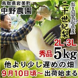 【予約！9月中旬〜下旬】中野農園【二十世紀梨】5kgセット【ご進物用2L-3Lサイズ】(秀品：14-16玉入り)【送料無料】[常温]鳥取県産[農家指定商品]