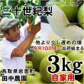 【予約】田中農園【二十世紀梨】3kgセット(自家用：9-12玉入り)【送料無料】[常温]鳥取県産[農家指定商品]【9月中旬以降予約順出荷予定】（日にち指定不可）