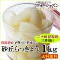 【送料無料】砂丘らっきょう【二十世紀梨酢漬け】1ｋｇ［らっきょう漬け同士は同梱可能］【鳥取県福部町産ラッキョウ】