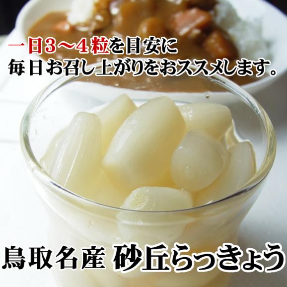 【送料無料】砂丘らっきょう【二十世紀梨酢漬け】1ｋｇ［らっきょう漬け同士は同梱可能］【鳥取県福部町産ラッキョウ】02
