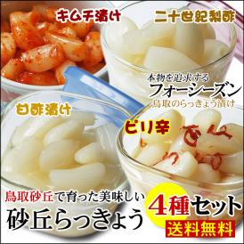 4種セット！【送料無料】砂丘らっきょう【甘酢漬け・ピリ辛漬け・二十世紀梨酢漬け・キムチ漬け】各300ｇパック［らっきょう漬け同士は同梱可能］【鳥取県福部町産ラッキョウ】ギフト