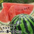 【予約販売】送料無料！ファーム山脇 大玉スイカ（ 1玉 8～10ｋｇ程度 )［訳あり］［鳥取県産西瓜］［常温]6月中旬以降収穫があり次第出荷　すいか　鳥取すいか