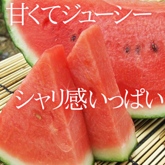【予約販売】送料無料！ファーム山脇 大玉スイカ（ 1玉 8～10ｋｇ程度 )［訳あり］［鳥取県産西瓜］［常温]6月中旬以降収穫があり次第出荷　すいか　鳥取すいか02