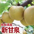 【予約】新甘泉【自家用】5kgセット(8-18玉程度)【送料無料】[常温]【鳥取県産】【9月上旬以降予約順出荷】しんかんせん 梨