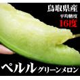 送料無料！ペルルメロン【ペルルグリーンメロン】1箱（2玉入）【4L-5Lサイズ】【鳥取県産】大玉でトップクラスの甘さ！［常温］【7月下旬以降収穫があり次第出荷】ぺルルメロン【お中元ギフト】