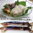 【送料無料 6杯入り:1ｋｇ程度セット！】鮮度抜群！船内冷凍スルメイカ6杯セット[冷凍]お刺身用【釣りたて船で急速冷凍】船凍イカ・するめいか・ＩＱＦシマメイカ・むぎいか