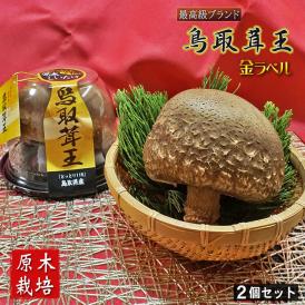 鳥取県産「鳥取茸王 金ラベル茸王　原木生しいたけ(椎茸)(品種115)」2パック入り［冷蔵便］【送料無料】菌興115号 原木椎茸 茸王 たけおう ギフト プレゼント