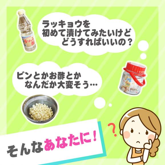 【新物予約】送料無料！漬け初心者【3点(らっきょう1kg（Ｓ-Ｍサイズ）：らっきょう酢700ml袋タイプ：鷹の爪（2本)】セット 本場福部(ふくべ)産『山根さんの砂丘らっきょう』[常温]02