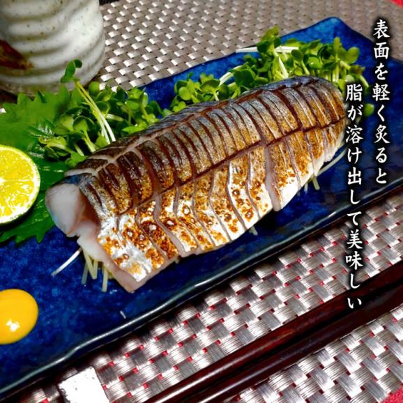送料無料[鳥取のしめさば]フィーレ（10パックセット）〔冷凍〕鳥取県境港産サバ使用 シメサバ・〆鯖・さしみ・寿しネタ・サラダ お中元 ギフト プレゼント04