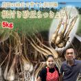 鳥取県福部産『浜田園さんの根付き砂丘らっきょう』【5ｋｇ】（サイズ混じり）砂付き[常温]【6月中旬以降予約順発送予定】