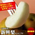 【予約】新興梨（しんこう）【訳あり】[自家用] 5kgセット（6-16玉）【送料無料】 【鳥取県産】【常温】【10月中旬以降予約順出荷予定】