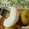 【予約】新興梨（しんこうなし）】【進物用】5kg（6-16玉）【送料無料】 【鳥取県産】【常温】【10月中旬以降予約順出荷予定】