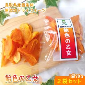 飴色の乙女 西条柿ドライフルーツ 2パックセット 鳥取県 みつ農園産 送料無料 常温 メール便・代金