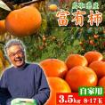 【みつ農園】富有柿(ふゆうかき)(自家用)3.5ｋgセット（8-17玉）送料無料 [鳥取県産][常温]11月中旬以降予約受付け順出荷
