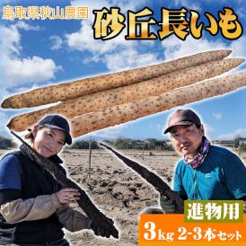 【予約】【秋山農園】長いも【進物用】（2-3本入）約３ｋｇ送料無料<br>鳥取県[常温]長芋 ギフト【2月中旬以降予約受付順出荷予定】