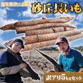 【秋山農園】長いも【自家用：訳あり】約5ｋｇ　送料無料<br>鳥取県[常温]長芋 