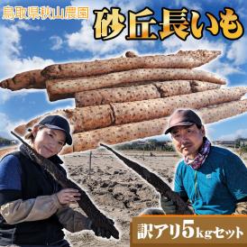 【予約】【秋山農園】長いも【自家用：訳あり】約5ｋｇ　送料無料<br>鳥取県[常温]長芋 