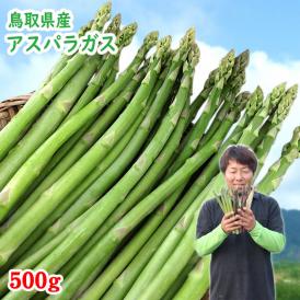【最短発送日表示通りの発送は不可】田中農園　アスパラガス　500ｇセット　鳥取県料]産　[冷蔵]　[送料無 <br>【鳥取県特別栽培農産物】【7月上旬以降予約順出荷予定】
