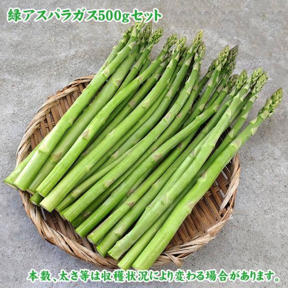 【最短発送日表示通りの発送は不可】田中農園　アスパラガス　500ｇセット　鳥取県料]産　[冷蔵]　[送料無 <br>【鳥取県特別栽培農産物】【7月上旬以降予約順出荷予定】03