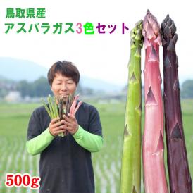 田中農園「アスパラガス 3種セット（緑・ピンク・紫）500ｇ」鳥取県産　[冷蔵]　[送料無料] <b