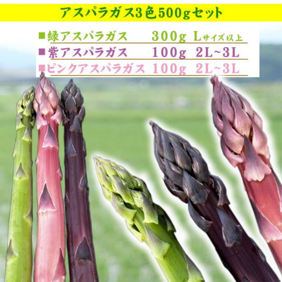 【最短発送日表示通りの発送は不可】田中農園「アスパラガス 3種セット（緑・ピンク・紫）500ｇ」鳥取県産　[冷蔵]　[送料無料] <br>【鳥取県特別栽培農産物】【7月中旬以降予約順出荷予定】03