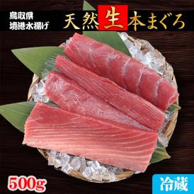 【早期予約】送料無料【鳥取県境港水揚げ】天然本マグロ 柵（赤身）[生]　500ｇセット（3-5柵入）【お刺身・塩焼きに！】【6月上旬以降予約順漁があり次第出荷】