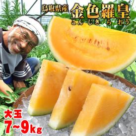 【予約販売】河本農園のスイカ 金色羅皇（こんじきらおう）（1玉7-9ｋｇ程度)（2Ｌ-4Ｌ）送料無料［鳥取県産西瓜］［常温]水分たっぷり♪！すいか　鳥取スイカ【6月下旬以降収穫があり次第発送】お中元 
