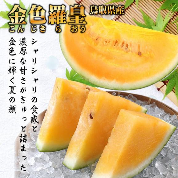 【予約販売】河本農園のスイカ 金色羅皇（こんじきらおう）（1玉7-9ｋｇ程度)（2Ｌ-4Ｌ）送料無料［鳥取県産西瓜］［常温]水分たっぷり♪！すいか　鳥取スイカ【6月下旬以降収穫があり次第発送】お中元 02