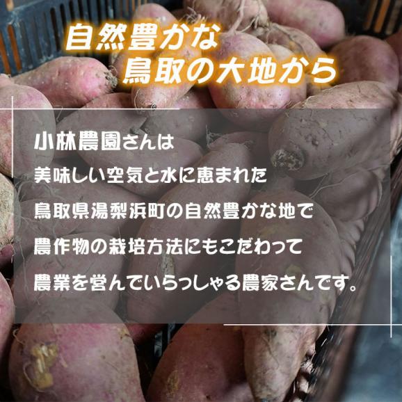 ほしいも　甘みつ姫（2パックセット）【鳥取県産】送料無料 [常温]【メール便・代金引換不可・同梱不可】無添加 安納芋  干し芋 ほし芋 国産　おやつ02