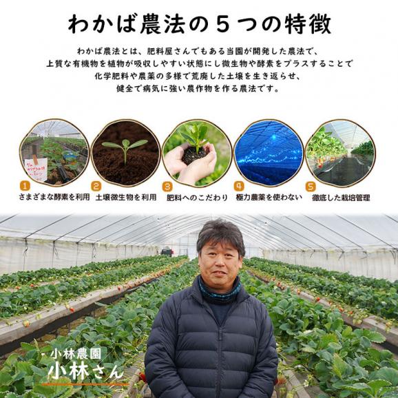 ほしいも　甘みつ姫（2パックセット）【鳥取県産】送料無料 [常温]【メール便・代金引換不可・同梱不可】無添加 安納芋  干し芋 ほし芋 国産　おやつ04