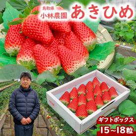 とちあいか いちご 約280g×2パック 栃木県産 贈答規格 JA共撰品