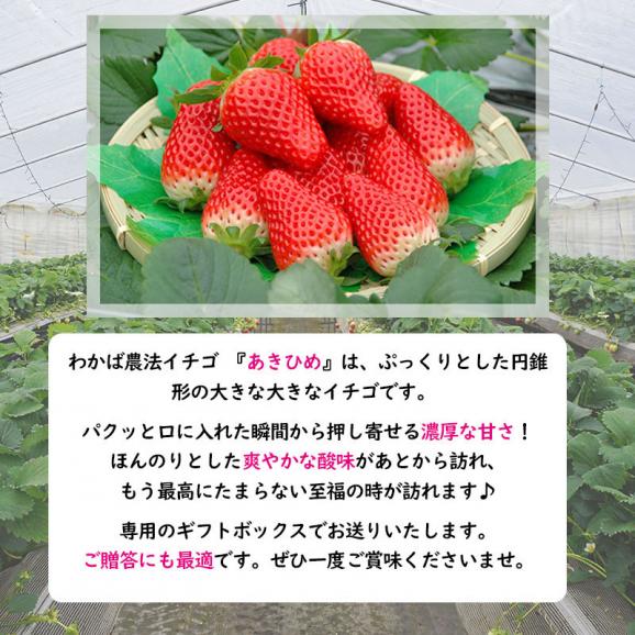 あきひめ（章姫）いちご ギフトセット 小林農園 わかば農法