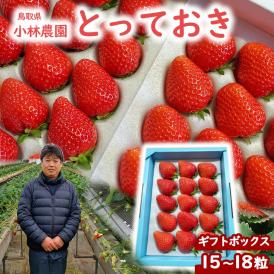 とっておき　苺　ギフトセット 小林農園  わかば農法イチゴ 送料無料 鳥取県産 鳥取県新ブランド苺 贈り物 [冷蔵]
