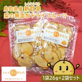 新甘泉 ドライフルーツ  やわらかドライフルーツ（2パックセット）送料無料 無添加 鳥取県産 [常温]　お試し【メール便・代金引換不可・同梱不可】ドライなしあわせ 梨 