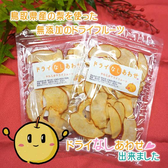 新甘泉 ドライフルーツ  やわらかドライフルーツ（2パックセット）送料無料 無添加 鳥取県産 [常温]　お試し【メール便・代金引換不可・同梱不可】ドライなしあわせ 梨 02